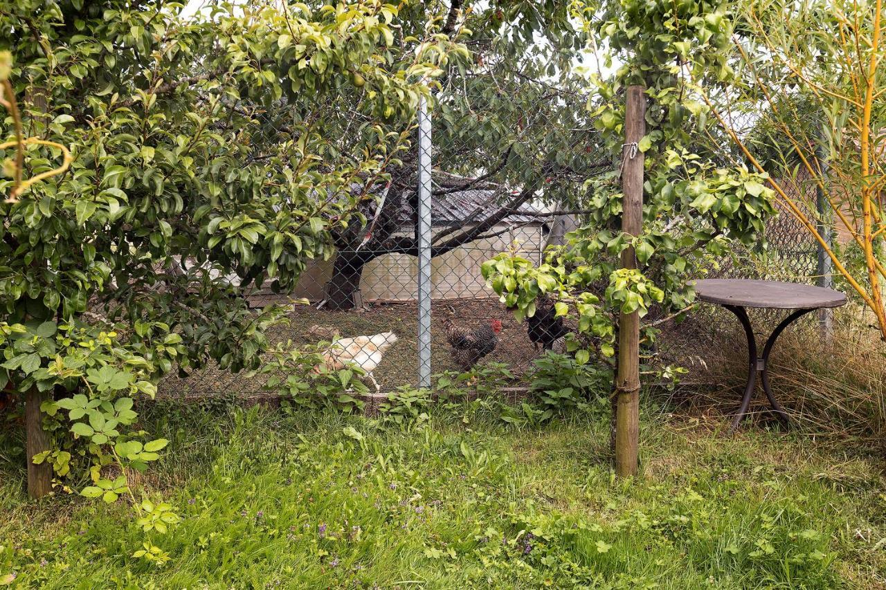 דירות Weilheim Zum Haselbach מראה חיצוני תמונה